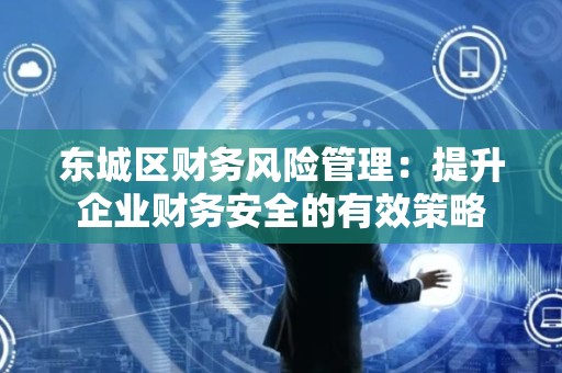 平谷区财务风险管理：提升企业财务安全的有效策略