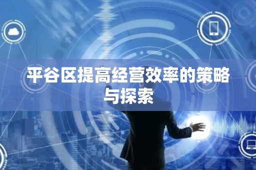 平谷区提高经营效率的策略与探索