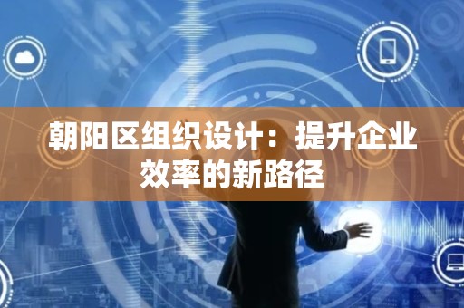 朝阳区组织设计：提升企业效率的新路径