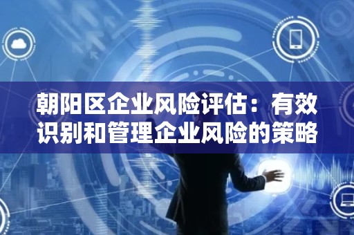 朝阳区企业风险评估：有效识别和管理企业风险的策略