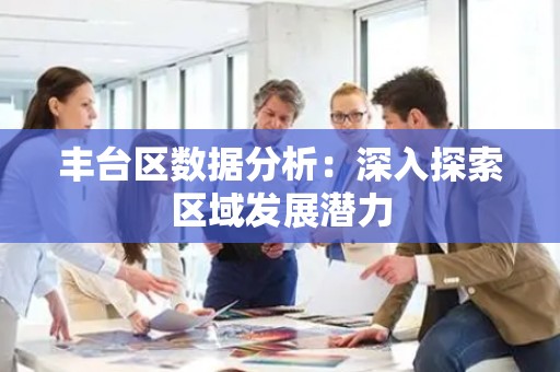 丰台区数据分析：深入探索区域发展潜力