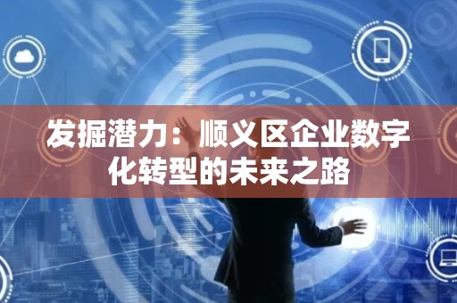 发掘潜力：顺义区企业数字化转型的未来之路
