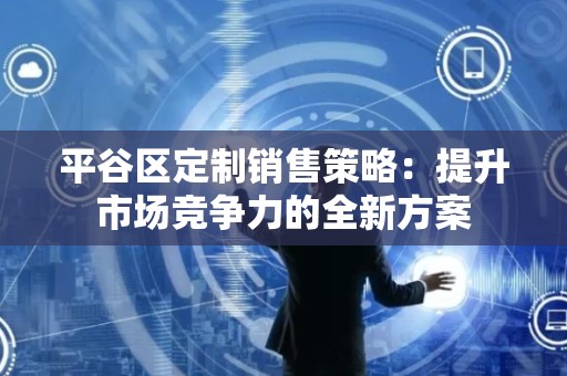平谷区定制销售策略：提升市场竞争力的全新方案