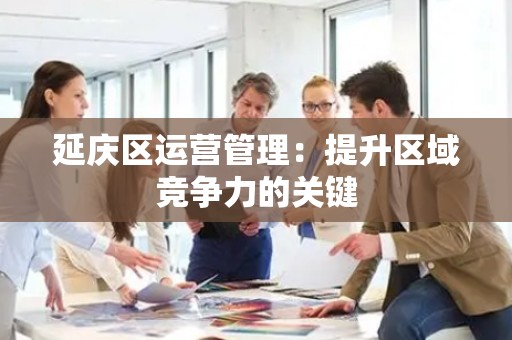 延庆区运营管理：提升区域竞争力的关键