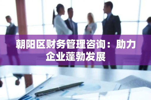 朝阳区财务管理咨询：助力企业蓬勃发展