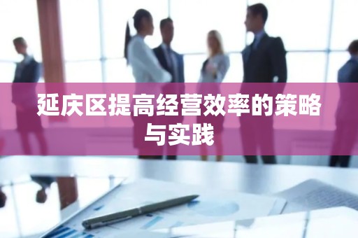 延庆区提高经营效率的策略与实践