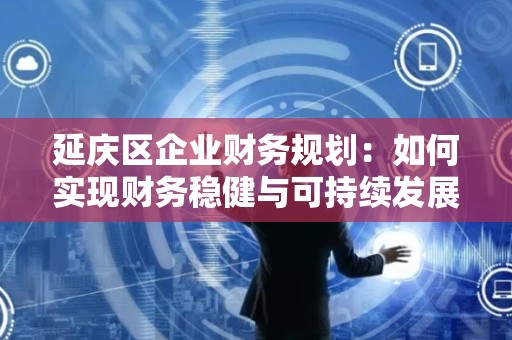 延庆区企业财务规划：如何实现财务稳健与可持续发展