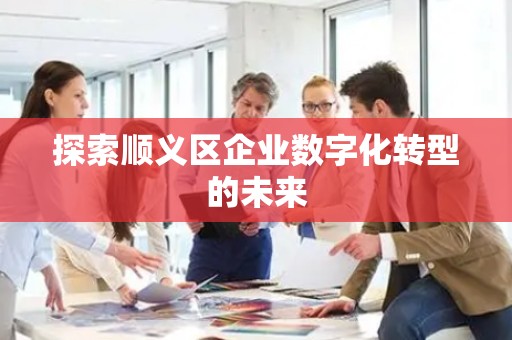 探索顺义区企业数字化转型的未来