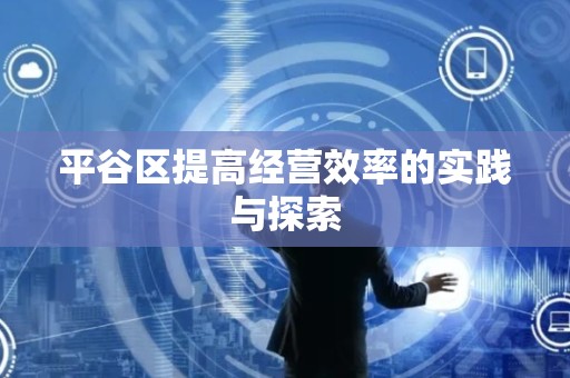 平谷区提高经营效率的实践与探索