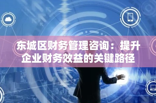 平谷区财务管理咨询：提升企业财务效益的关键路径