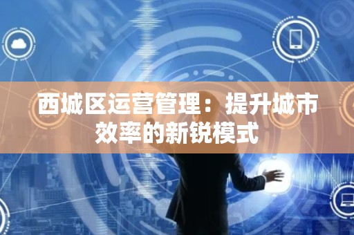 西城区运营管理：提升城市效率的新锐模式