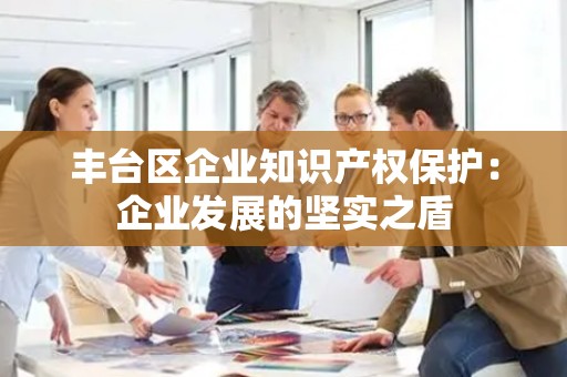 丰台区企业知识产权保护：企业发展的坚实之盾