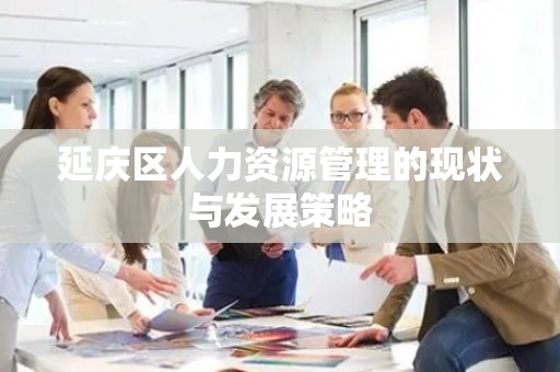 延庆区人力资源管理的现状与发展策略