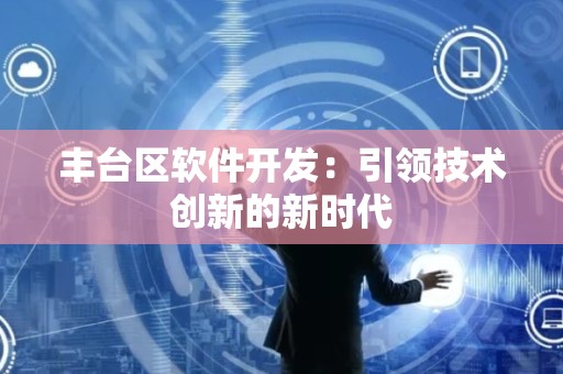 丰台区软件开发：引领技术创新的新时代