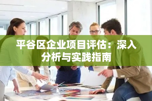 平谷区企业项目评估：深入分析与实践指南