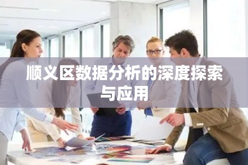 顺义区数据分析的深度探索与应用
