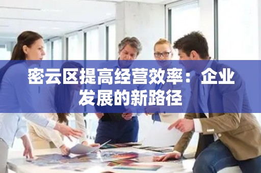 密云区提高经营效率：企业发展的新路径