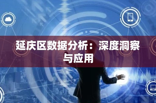 延庆区数据分析：深度洞察与应用