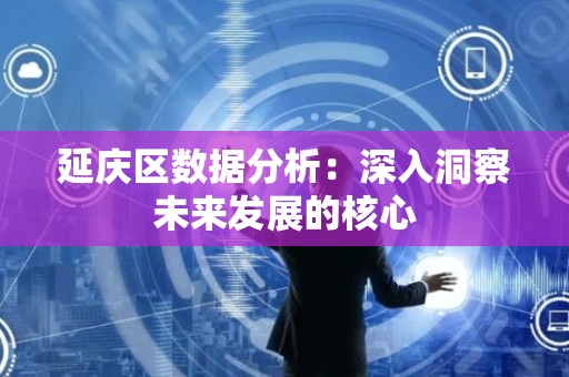 延庆区数据分析：深入洞察未来发展的核心