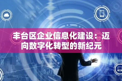 丰台区企业信息化建设：迈向数字化转型的新纪元