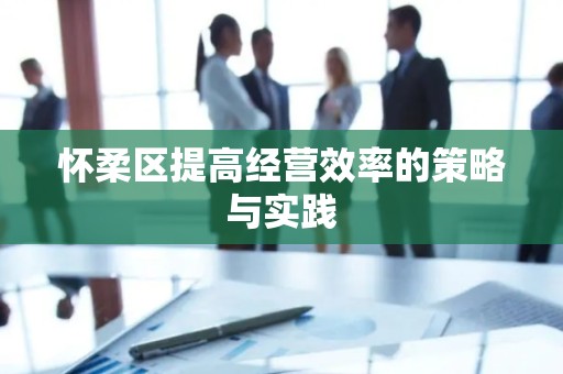怀柔区提高经营效率的策略与实践