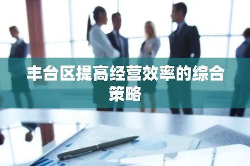 丰台区提高经营效率的综合策略