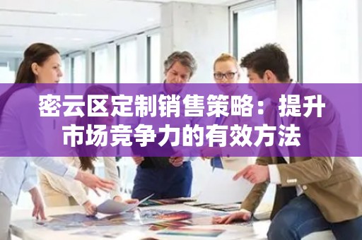 密云区定制销售策略：提升市场竞争力的有效方法