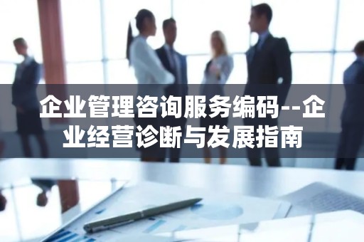企业管理咨询服务编码--企业经营诊断与发展指南