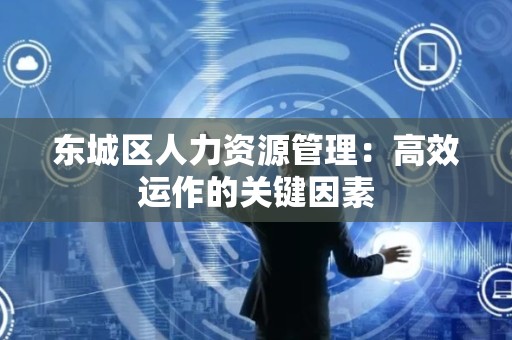 平谷区人力资源管理：高效运作的关键因素