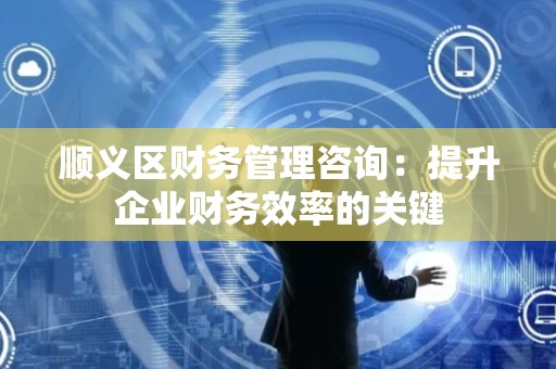 顺义区财务管理咨询：提升企业财务效率的关键