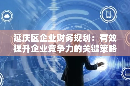 延庆区企业财务规划：有效提升企业竞争力的关键策略