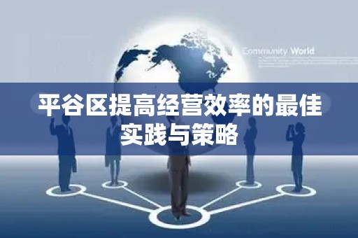 平谷区提高经营效率的最佳实践与策略