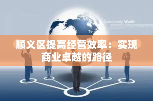顺义区提高经营效率：实现商业卓越的路径