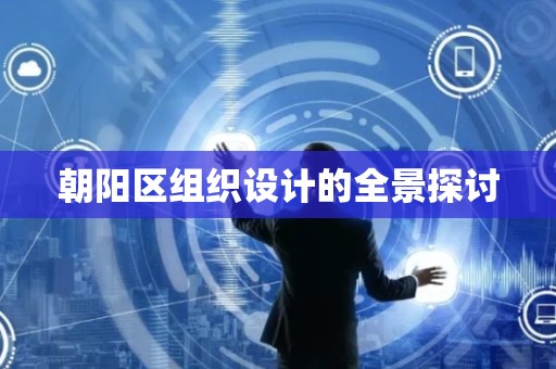 朝阳区组织设计的全景探讨