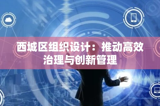 西城区组织设计：推动高效治理与创新管理
