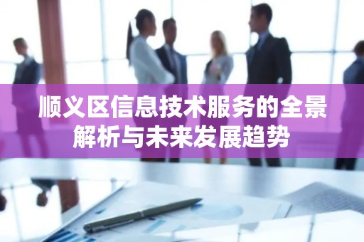 顺义区信息技术服务的全景解析与未来发展趋势