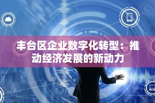 丰台区企业数字化转型：推动经济发展的新动力