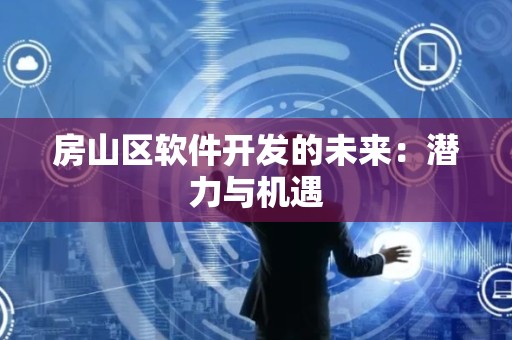 房山区软件开发的未来：潜力与机遇