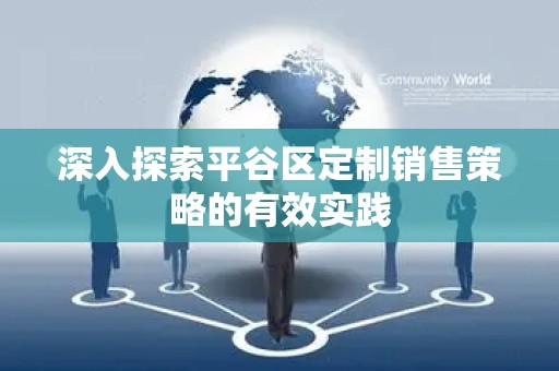 深入探索平谷区定制销售策略的有效实践