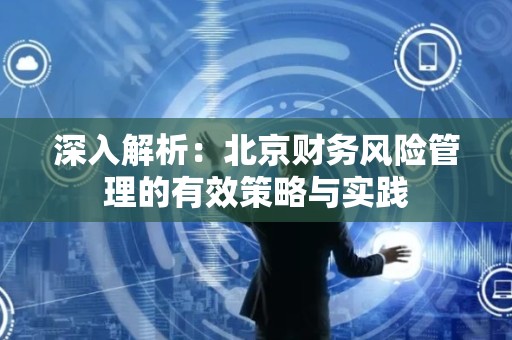 深入解析：北京财务风险管理的有效策略与实践