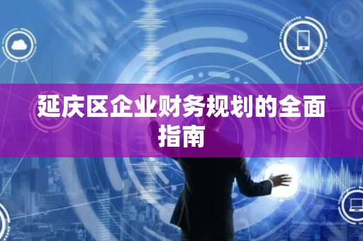 延庆区企业财务规划的全面指南