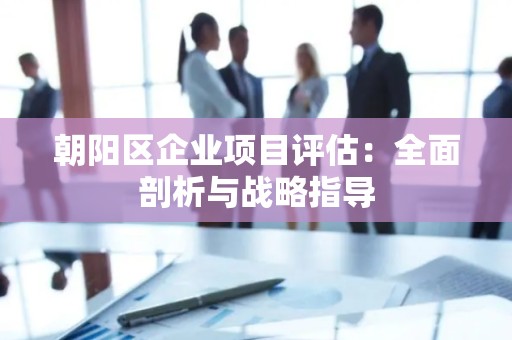 朝阳区企业项目评估：全面剖析与战略指导