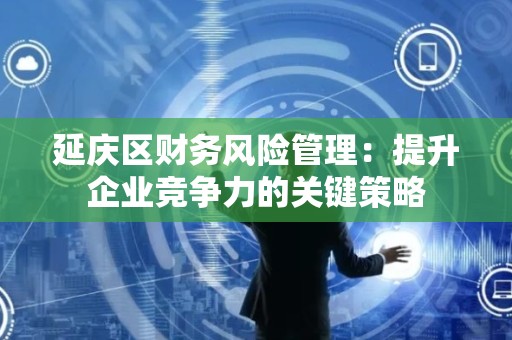 延庆区财务风险管理：提升企业竞争力的关键策略