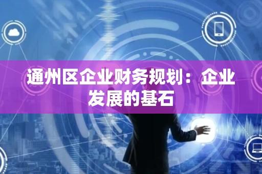 通州区企业财务规划：企业发展的基石