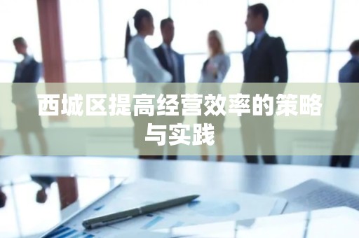 西城区提高经营效率的策略与实践