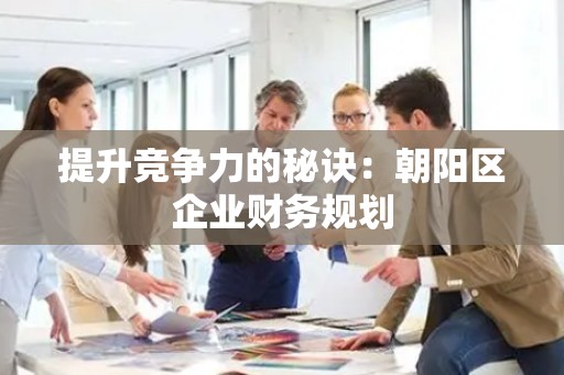提升竞争力的秘诀：朝阳区企业财务规划