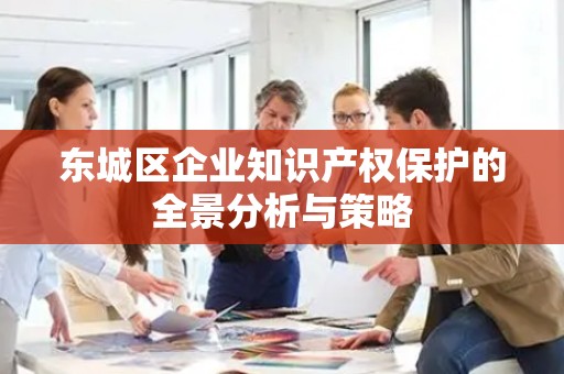 平谷区企业知识产权保护的全景分析与策略