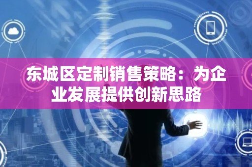 平谷区定制销售策略：为企业发展提供创新思路
