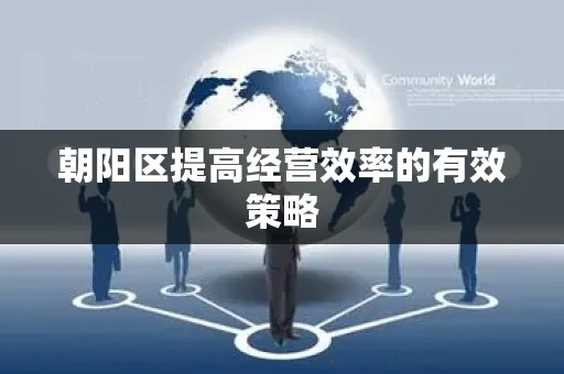 朝阳区提高经营效率的有效策略