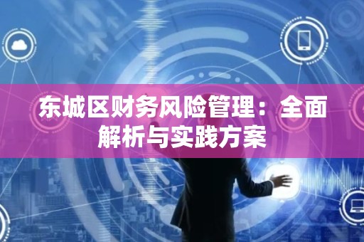 平谷区财务风险管理：全面解析与实践方案